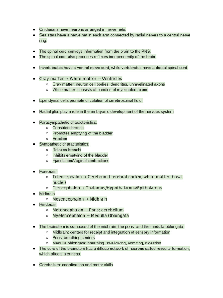 Nervous System Structure and Functions | PDF | Cerebrum | Central ...
