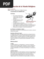 Download Informacin de la Mantis Religiosa by Mile Acosta SN88334871 doc pdf