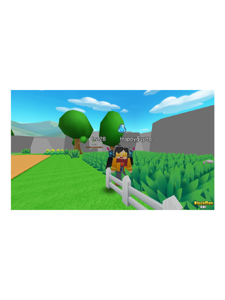 Blockman Go | PDF