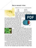 Tobacco Mosaic Virus