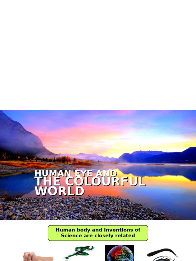 Human Eye Structure and Function | PDF | Eye | Human Eye