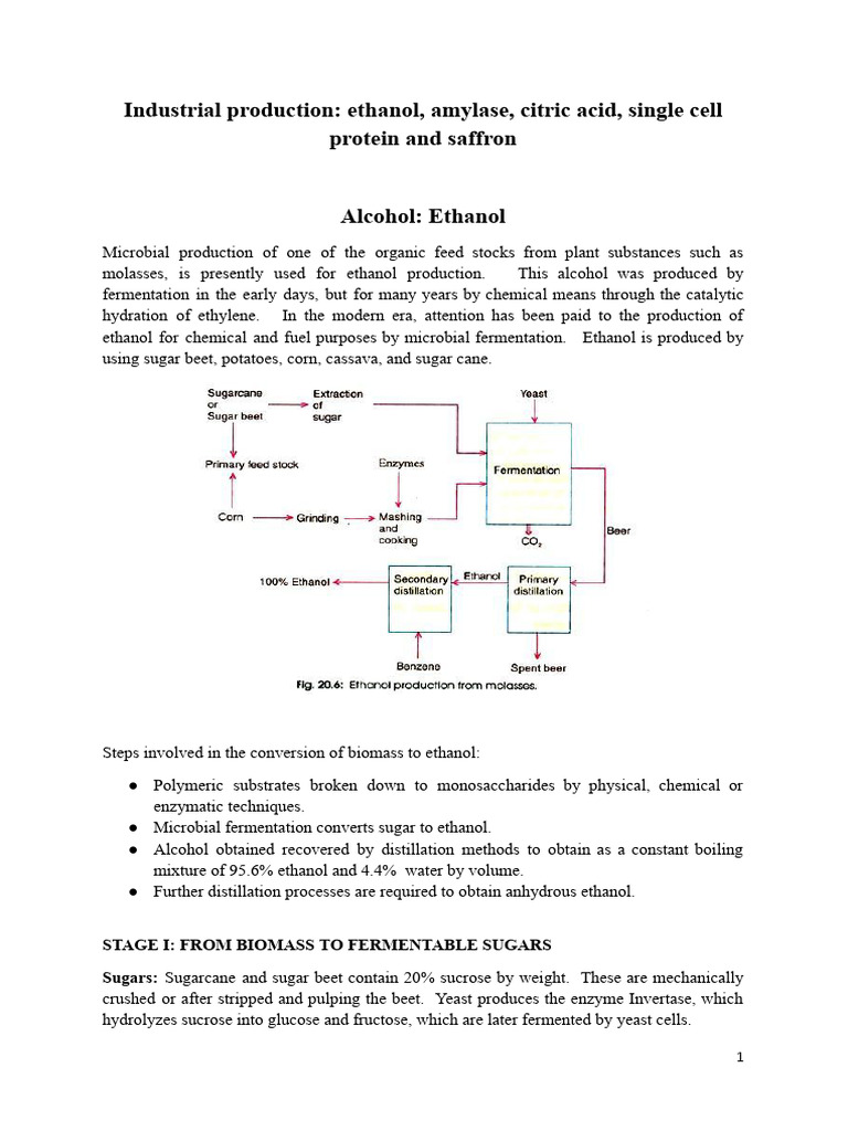 Industrial Ethanol Production Processes | PDF | Starch | Ethanol