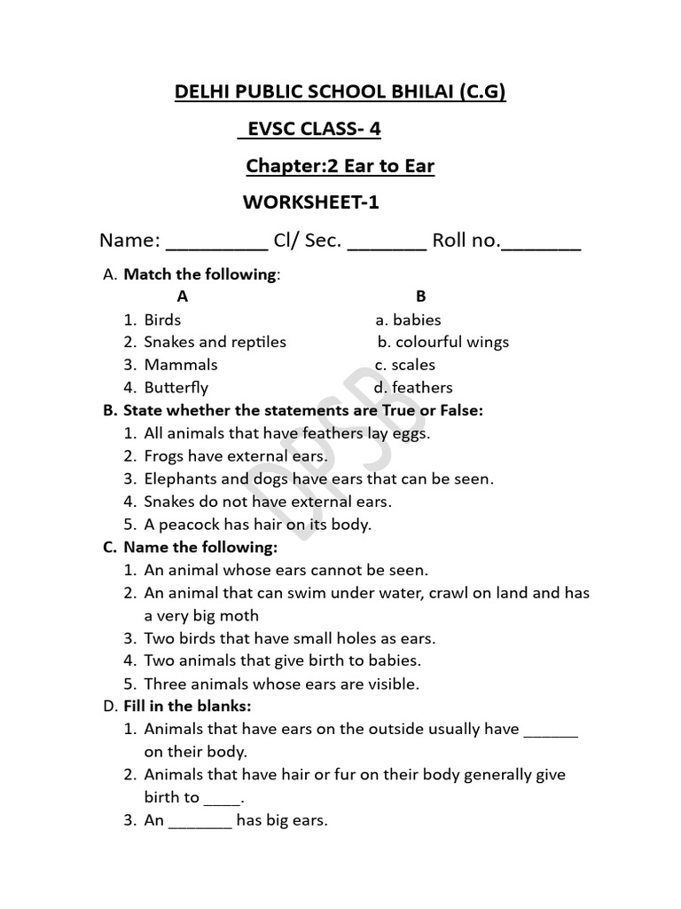 Class 4 EVS Worksheet: Ear to Ear | PDF