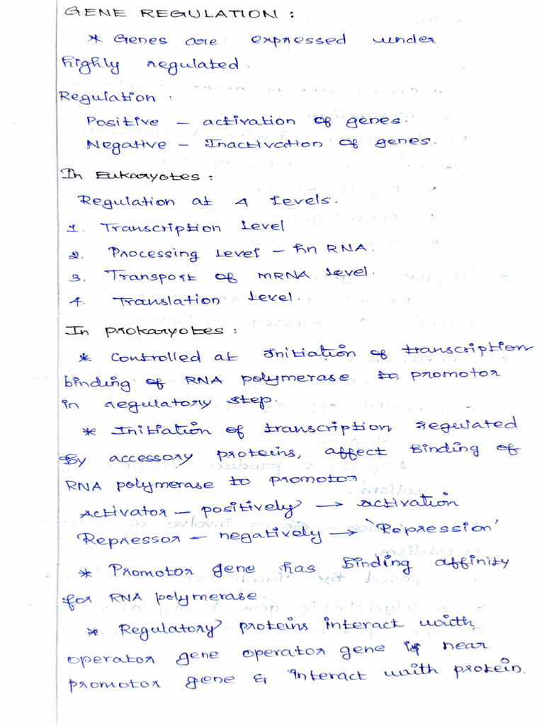Gene Regulation Class Notes by BHP Sir | PDF