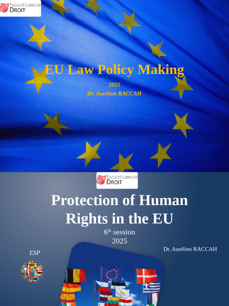 Human Rights in EU Law: Key Insights | PDF | European Convention On ...