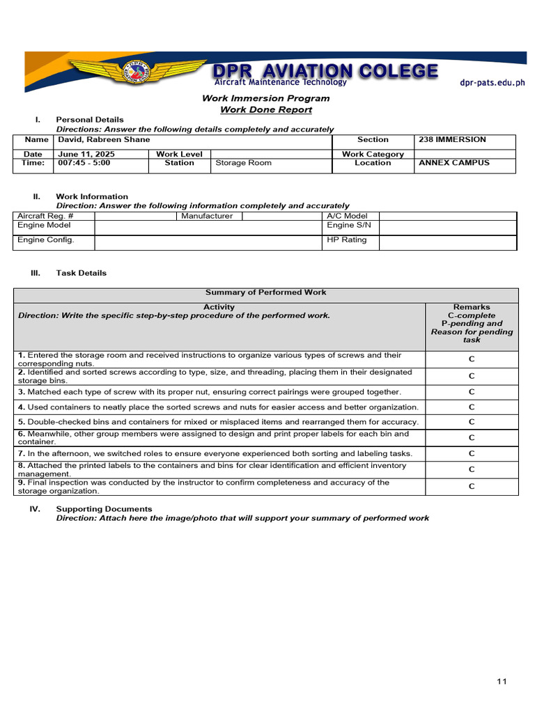 Work Immersion Report: Storage Organization | PDF