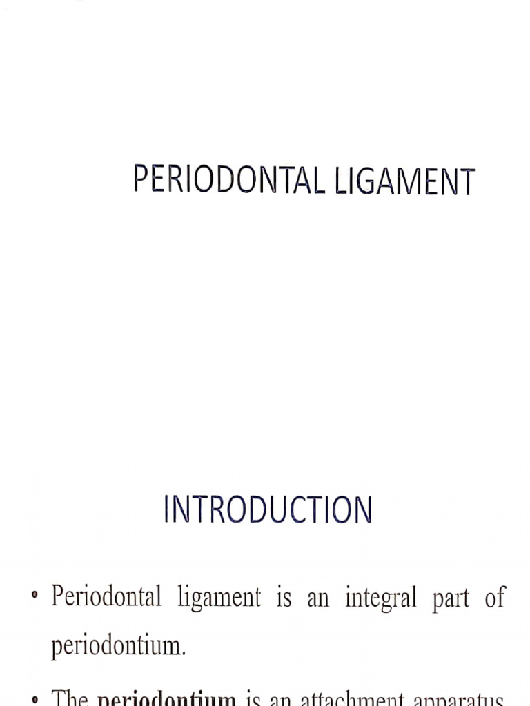 Periodontal Ligament Class - 1 | PDF