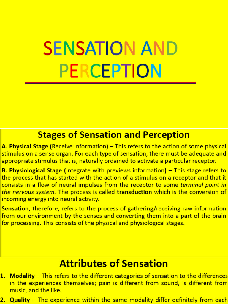 Understanding Sensation and Perception | PDF | Senses | Color