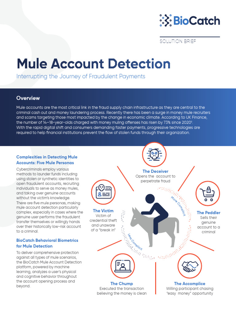 Mule Account Detection Solutions Guide | PDF | Fraud | Cybercrime
