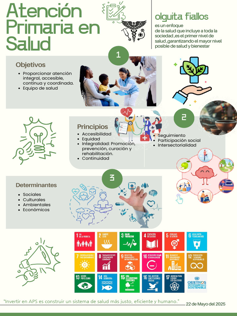 Atención Primaria en Salud: Principios y Objetivos | PDF