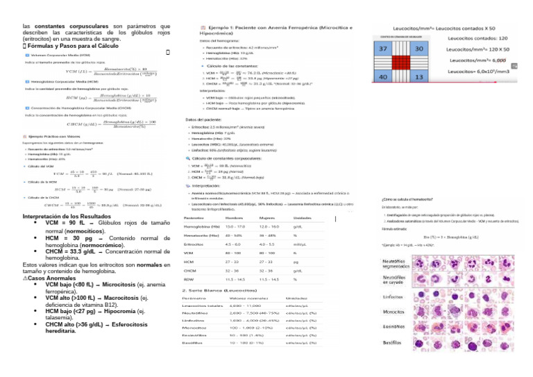 Cálculo y Análisis de VCM y HCM | PDF
