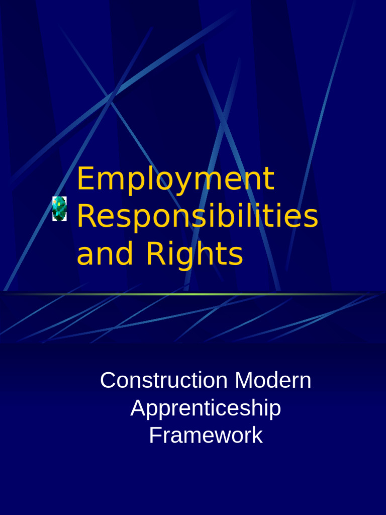 Employment Rights in Construction Apprenticeships | PDF | Employment ...