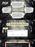 Códigos de Responsabilidades en el RUT | PDF | Impuestos | Contribuyente