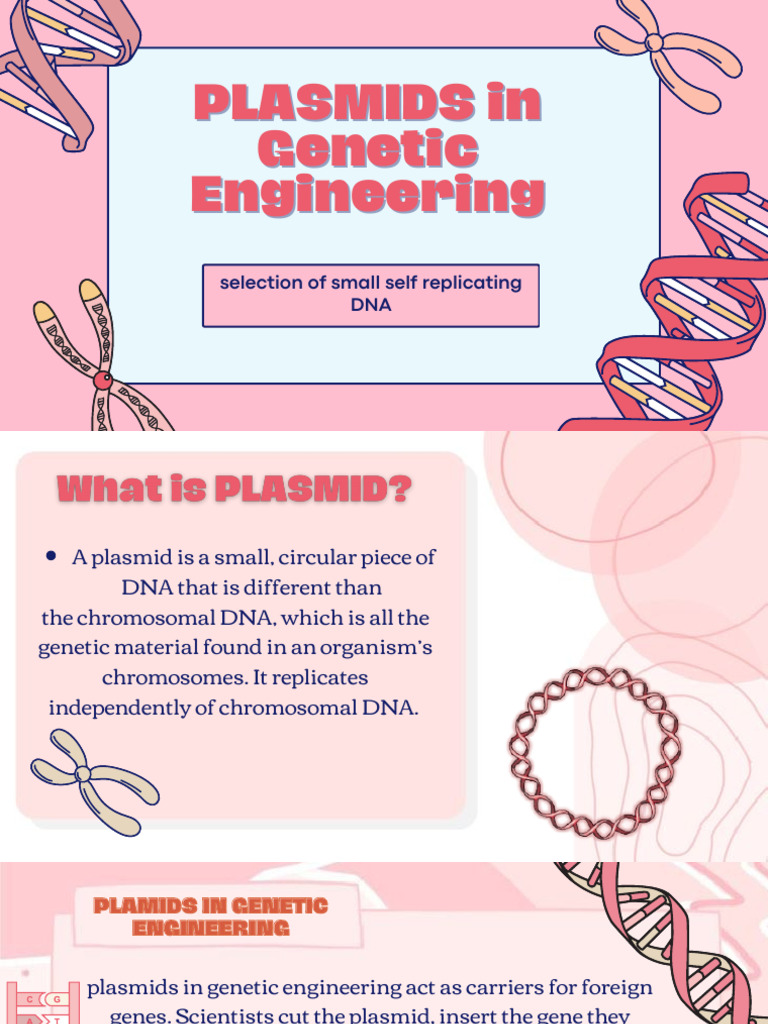 Plasmids in Genetic Engineering | PDF | Plasmid | Molecular Cloning