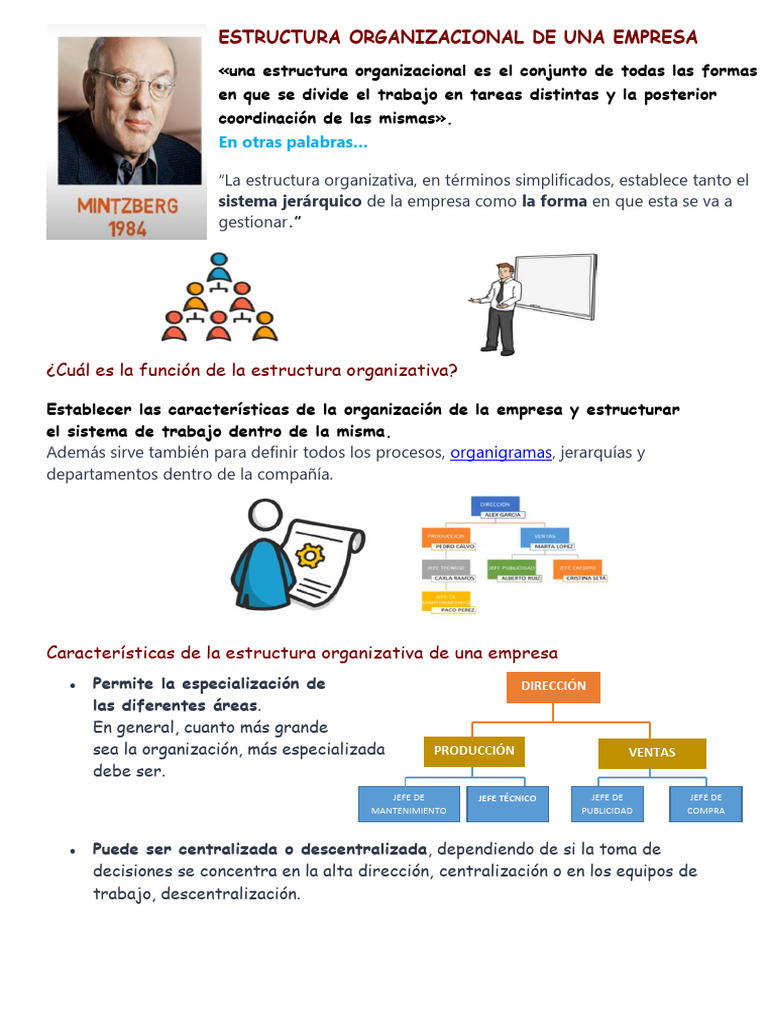 Estructura Organizacional | PDF | Business | Economias