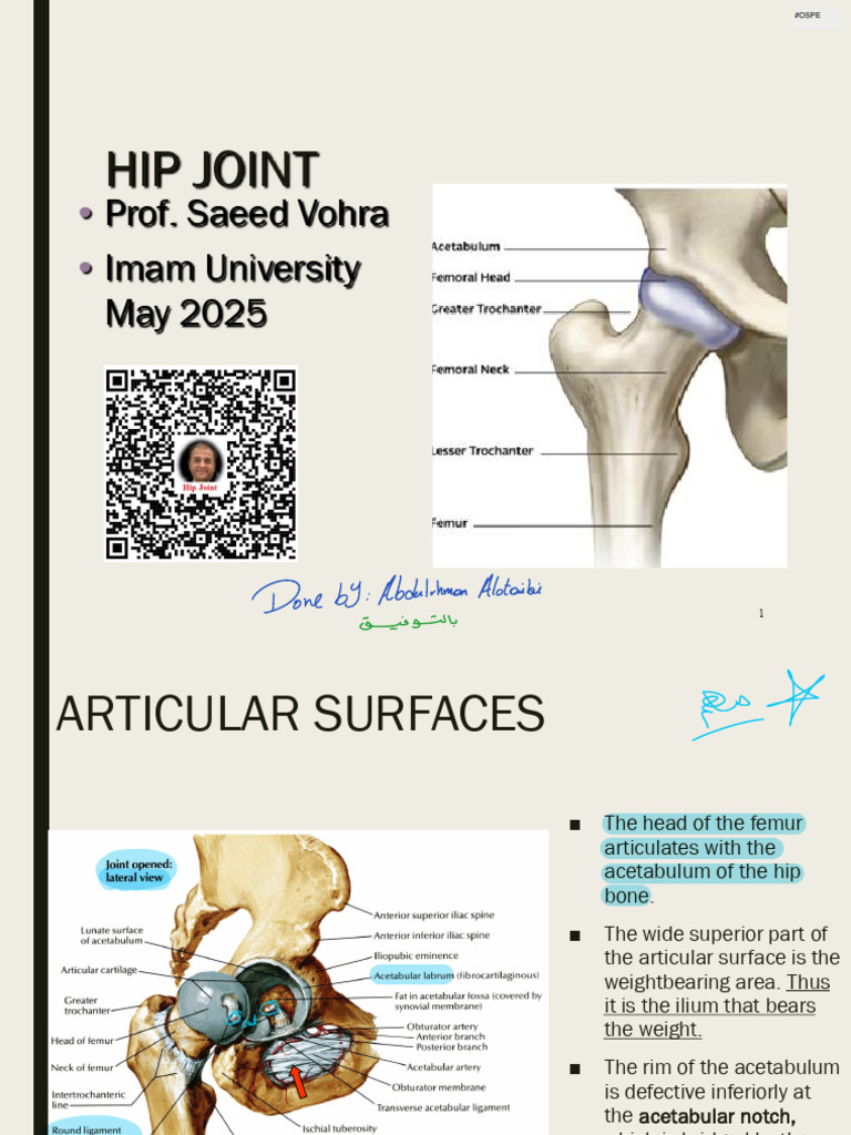 Pelvis counterstrain: Video, Causes, \u0026 Meaning | Osmosis, image size:768x1024
