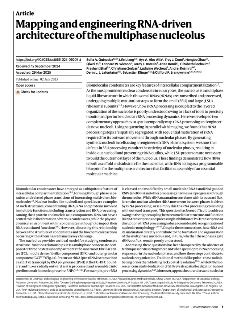 Mapping and Engineering RNA-driven Architecture of The Multiphase ...