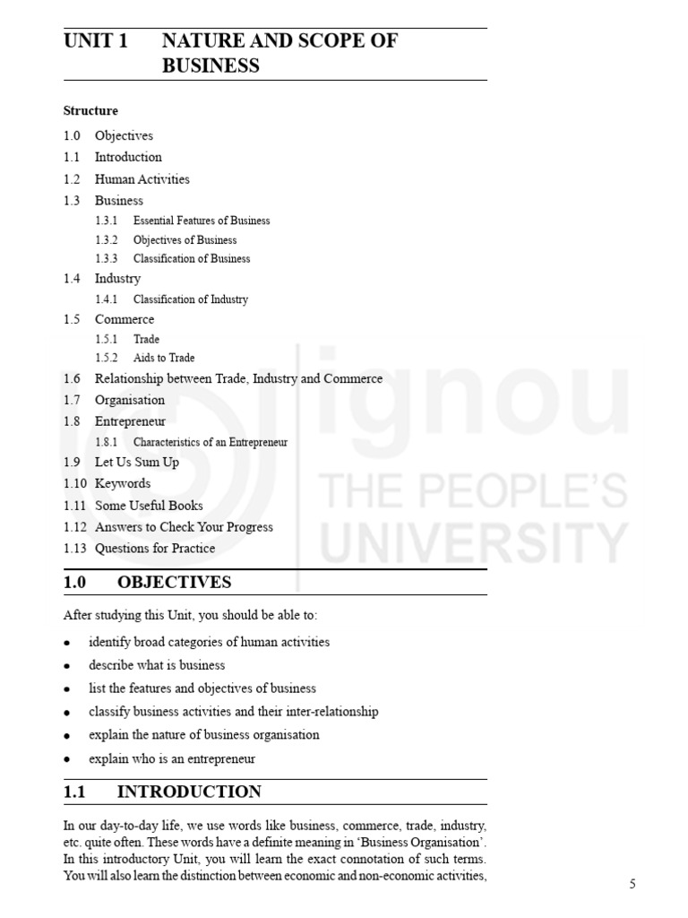 Understanding Business Scope and Nature | PDF | Employment | Goods