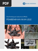 Download PolaPembiayaanUsahaKecilPPUKPembenihanIkanLele_2 by Pirman Supriatman SN88356742 doc pdf
