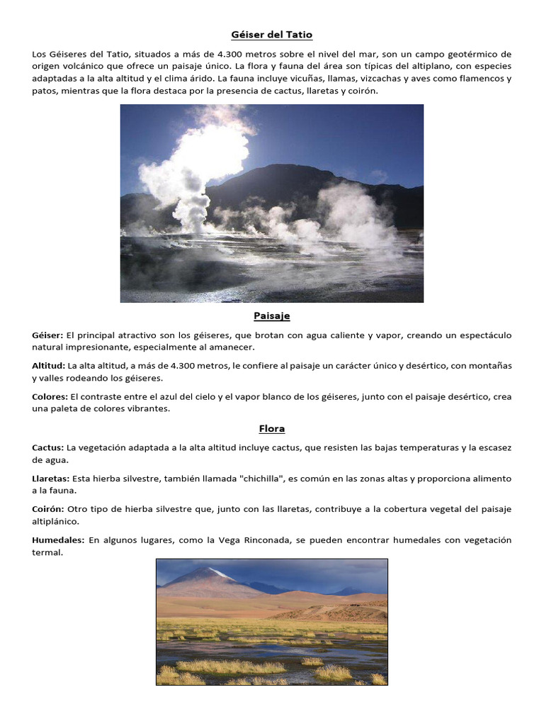 Géiseres del Tatio: Flora y Fauna Altiplánica | PDF