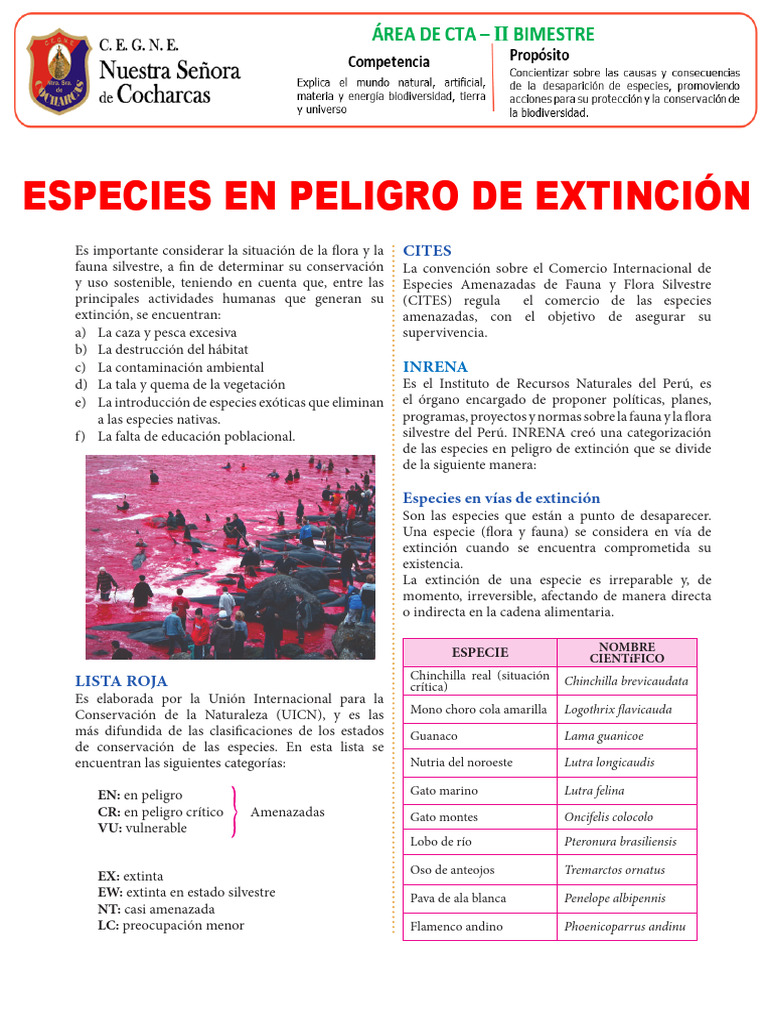 Especies en Peligro de Extinci N | PDF | Especie en peligro | Fauna