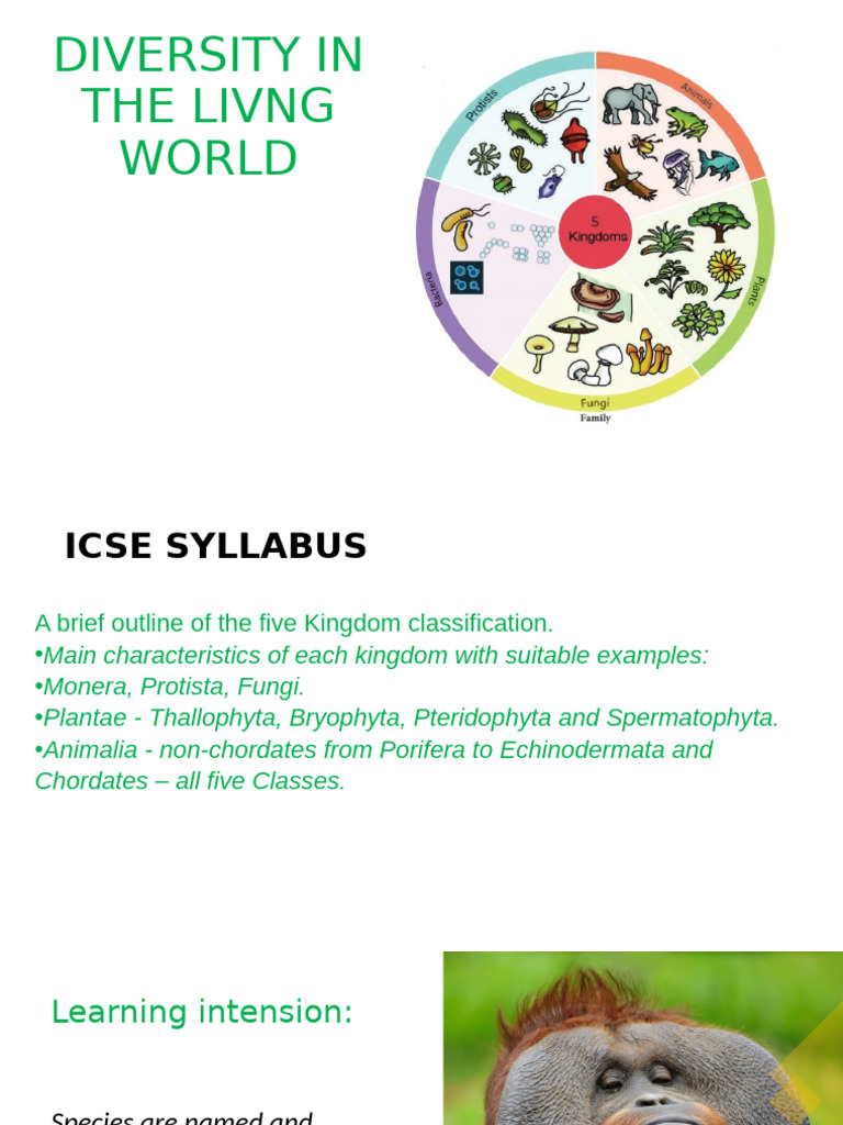 Five Kingdoms of Living Organisms Explained | PDF | Reptile | Sponge