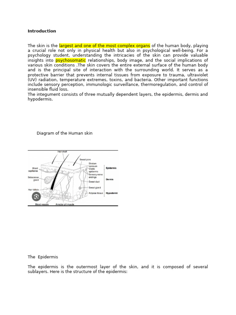 Sensory Process Presentation | PDF | Somatosensory System | Skin