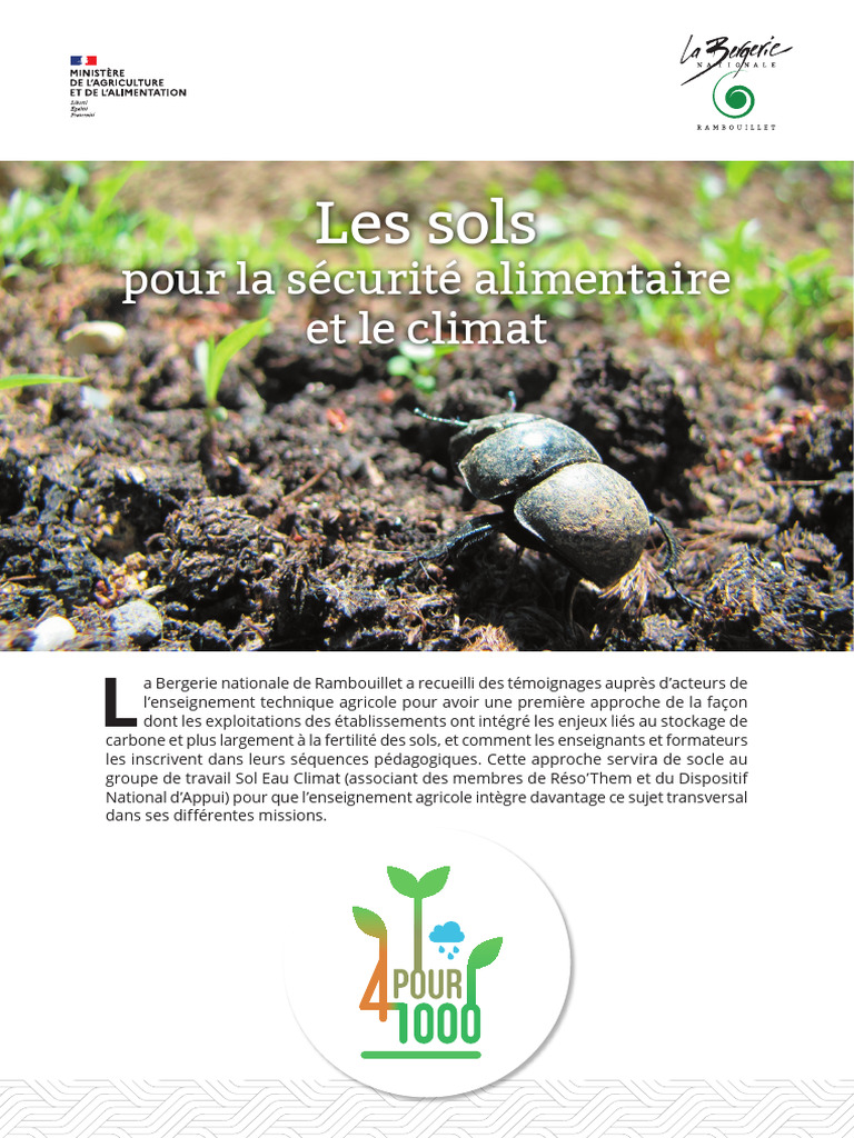 Sols : Clé de la sécurité alimentaire | PDF | Sol (pédologie ...