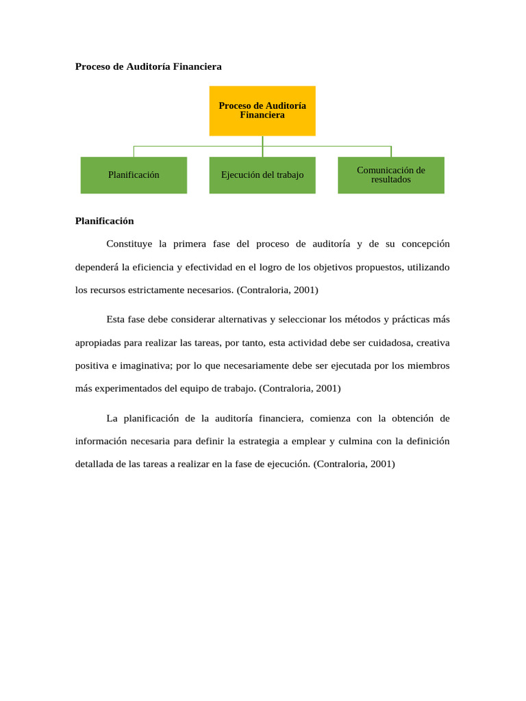 Proceso de Auditoría Financiera | PDF