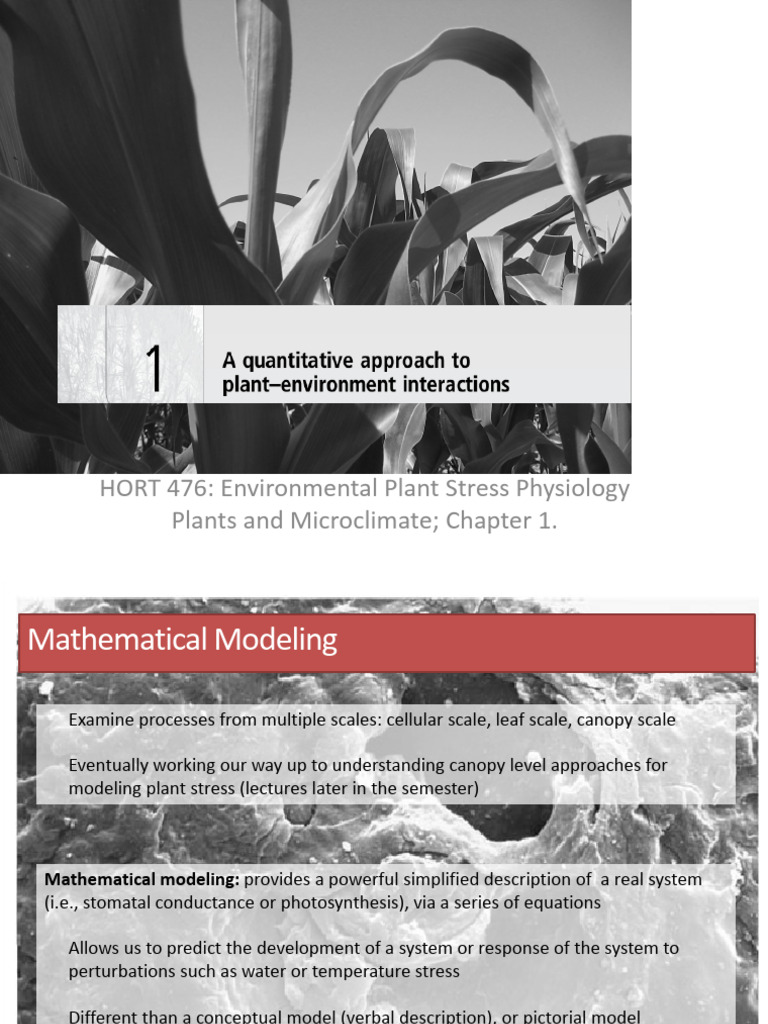 L2 Quantitative Approach Plant - Environment Interactions | PDF ...