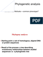 Molecular Phylogenetic Analysis: - Humans-flies-Mollusks - Common Phenotype?