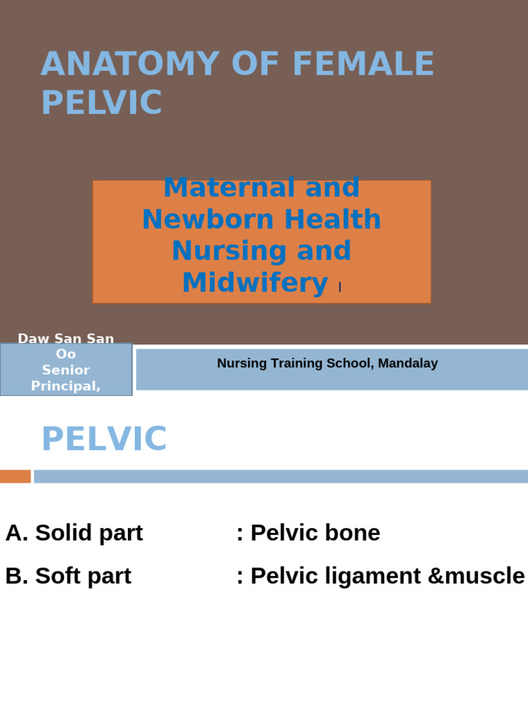 Bony Female Pelvis (2) | PDF | Pelvis | Musculoskeletal System