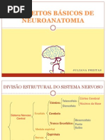 222246_CONCEITOS BÁSICOS DE NEUROANATOMIA