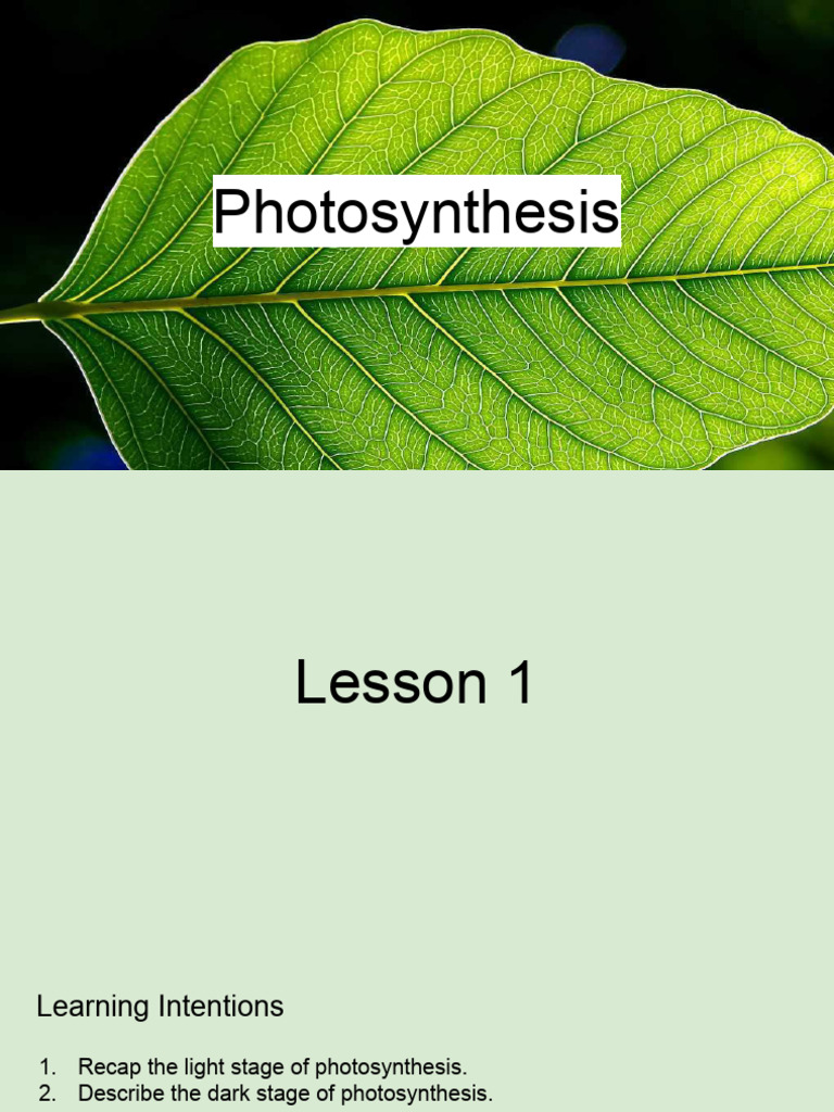 Understanding the Dark Stage of Photosynthesis | PDF | Photosynthesis ...