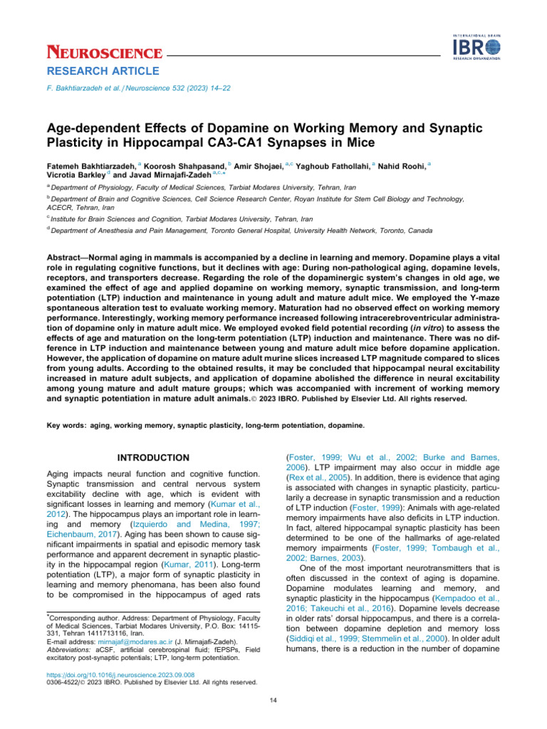 Age-Dependent Effects of Dopamine On Working Memory and Synaptic ...