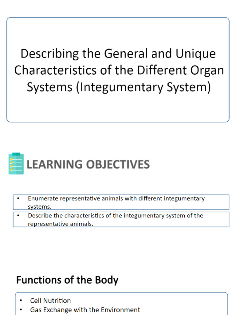 Integumentary System | PDF