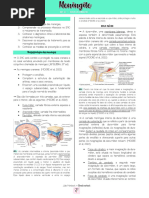 Meninges e Líquido Cerebrospinal: Aula 04 | PDF | Anatomia humana ...