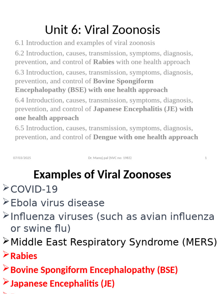 Bovine Spongiform Encephalopathy Overview | PDF | Rabies | Animals And ...