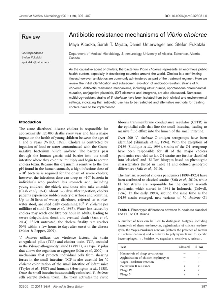 Antibiotic Resistance Mechanisms of Vibrio Cholerae | PDF | Cholera ...