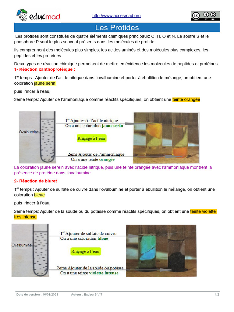 Les Protides : Structure et Réactions | PDF | Acide aminé | Protéines