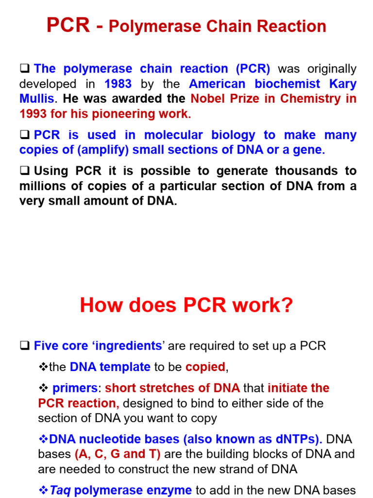 Polymerase Chain Reaction: Was Originally Developed in by The | PDF ...