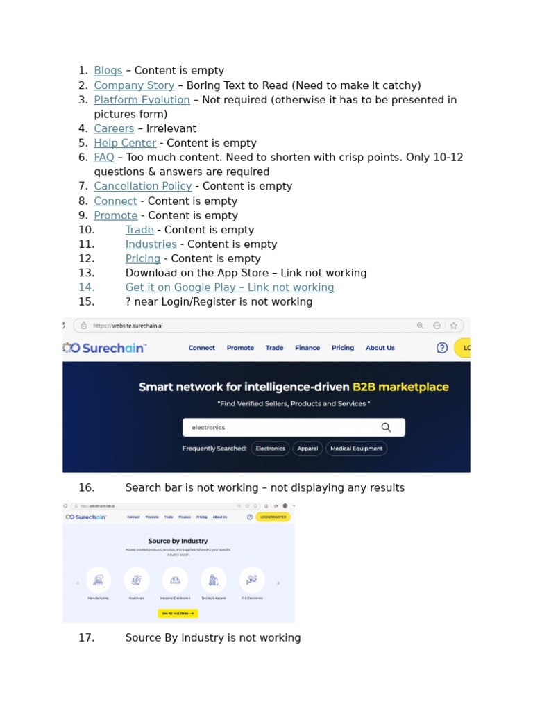 Website Content and Functionality Issues | PDF