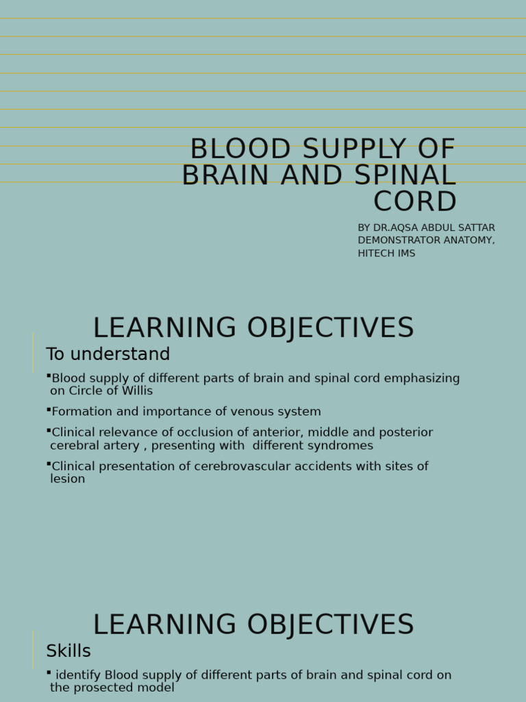 Blood Supply of Brain and SPINAL CORD | PDF