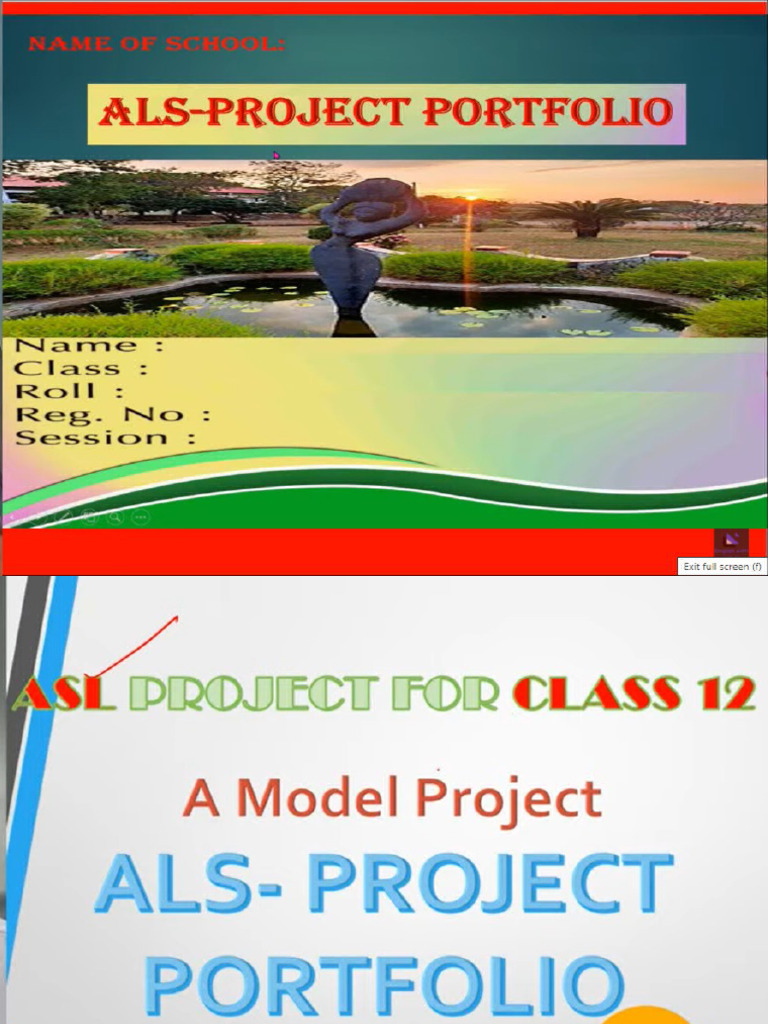 Interview Based Project Portfolio | PDF