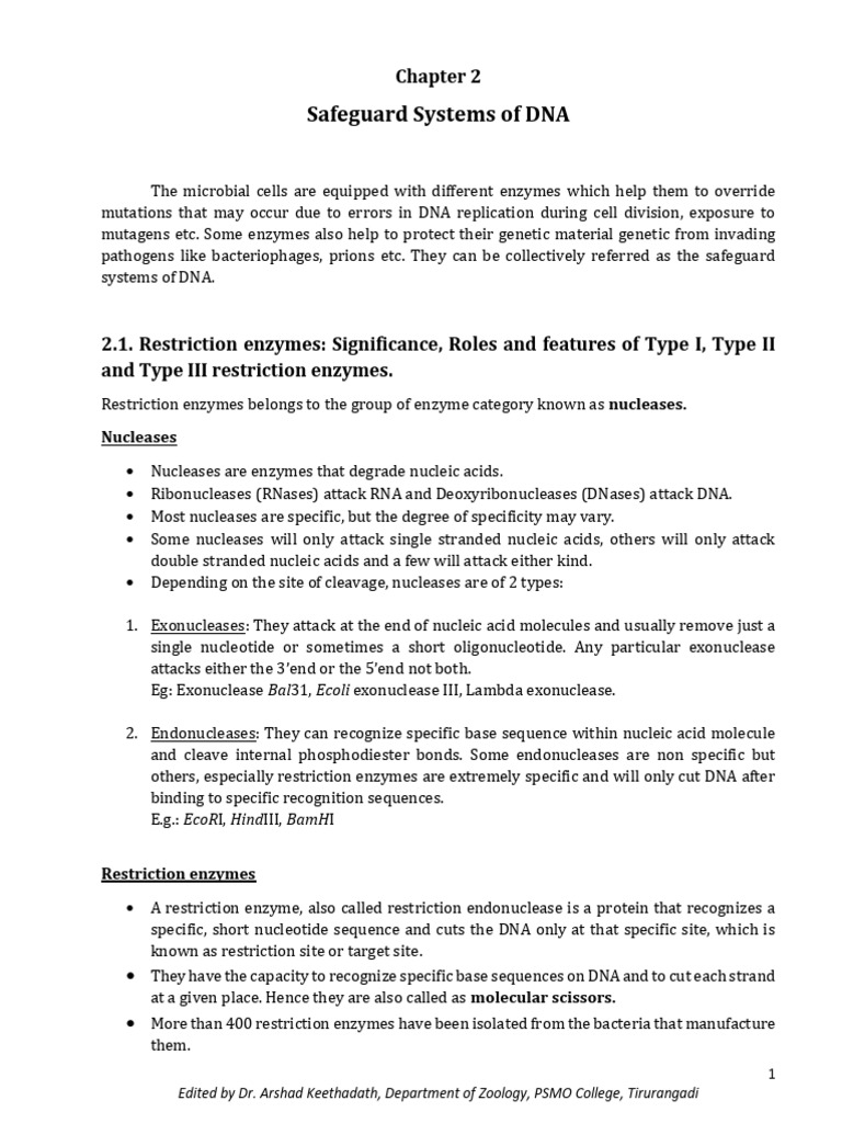 DNA Safeguard Systems: Restriction Enzymes | PDF | Restriction Enzyme | Dna