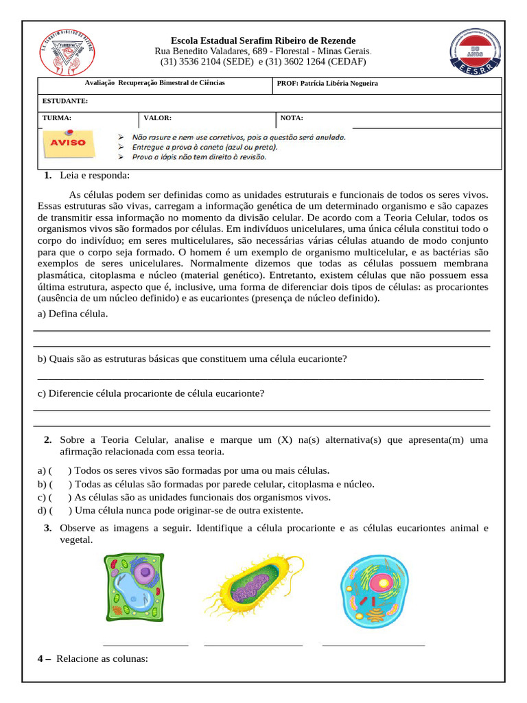 Avaliação de Ciências: Células 6º Ano | PDF | Célula (Biologia ...