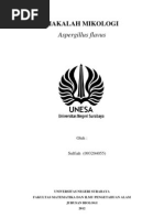 Download Aspergillus Flavus by Sul Fiah SN88386415 doc pdf