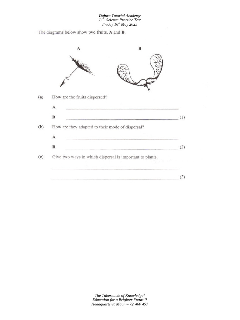 JC Science Practice Test | PDF