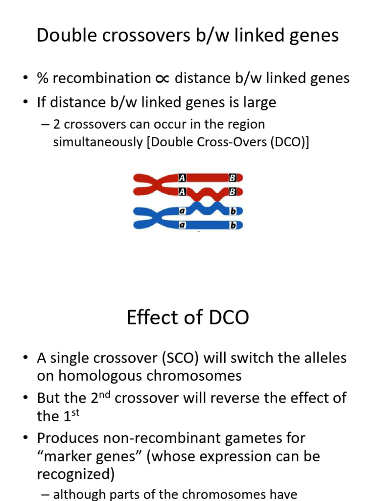 Double Crossovers in Gene Mapping | PDF | Genetic Linkage | Dominance ...