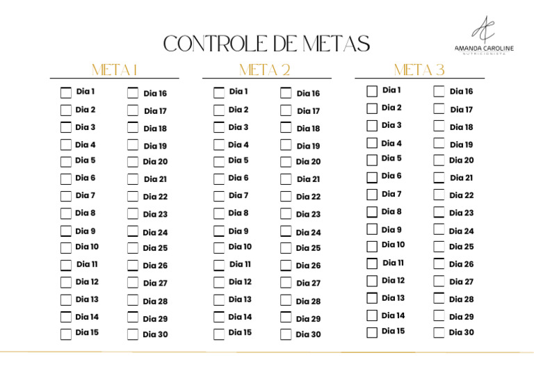 Controle de Metas | PDF